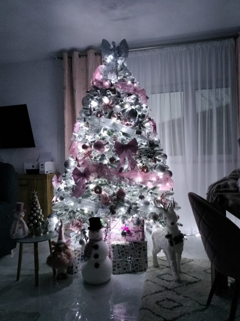 Image #2 from Ioan Vasile David