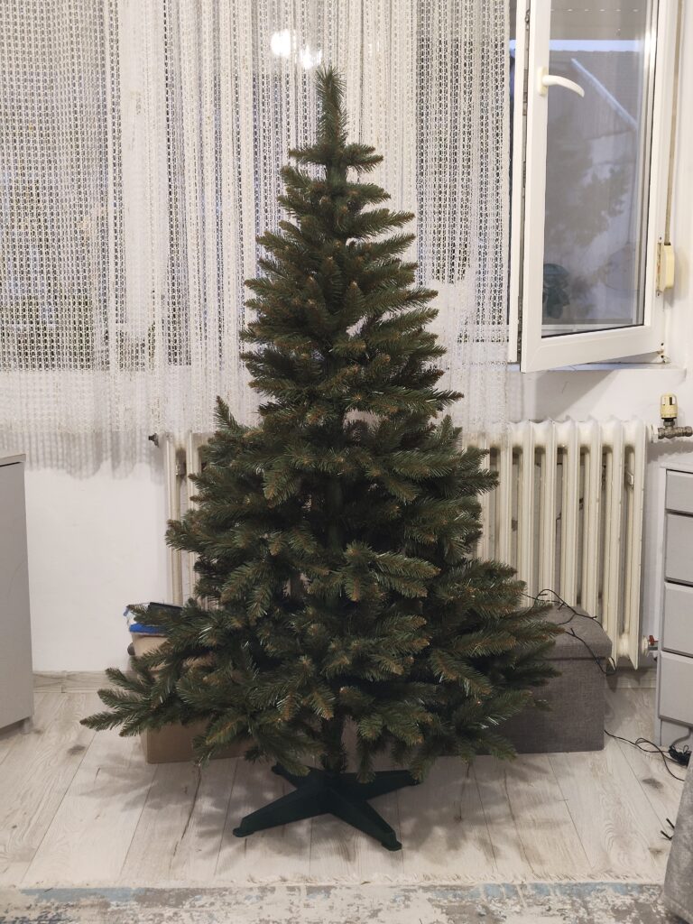 Image #1 from Mihaela Calinescu