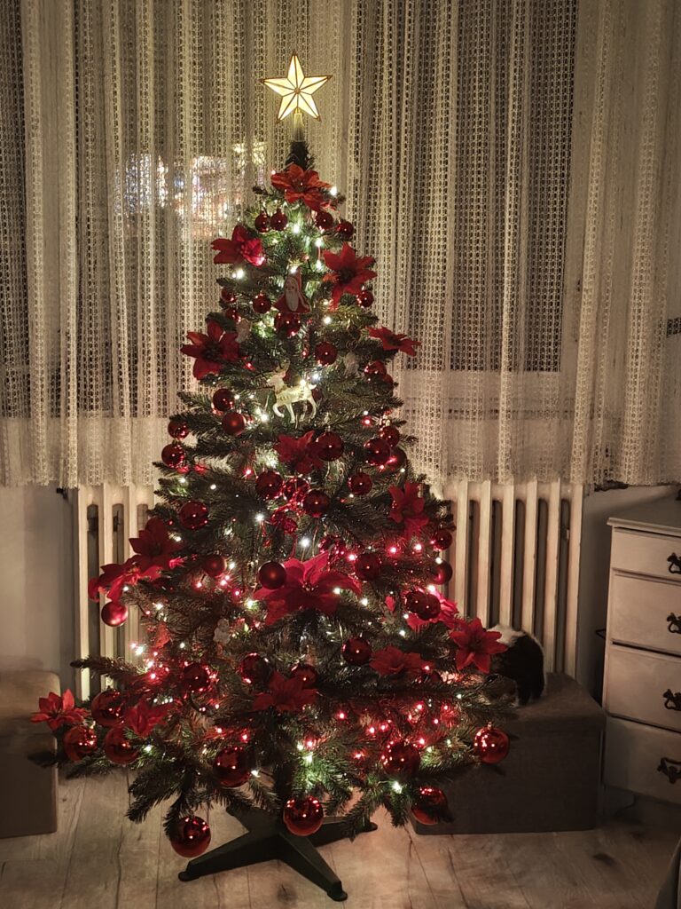 Image #2 from Mihaela Calinescu