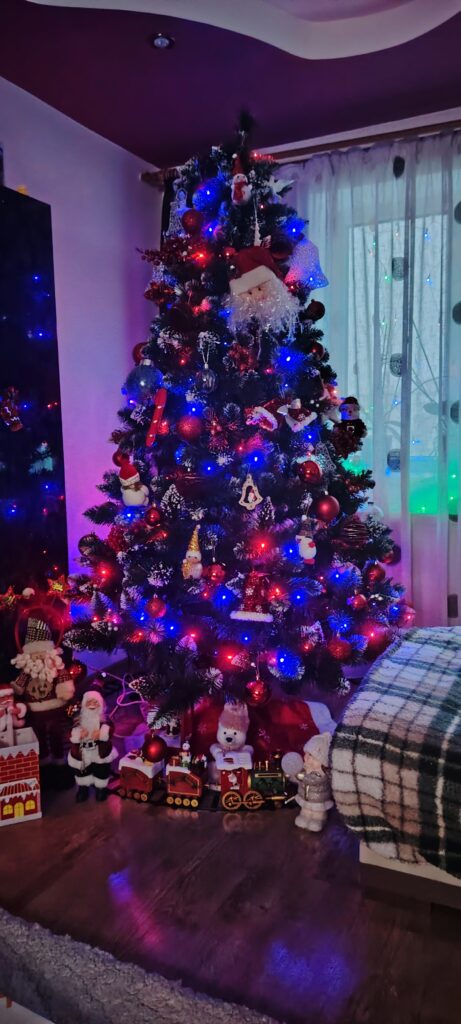 Image #2 from Stoica Loredana