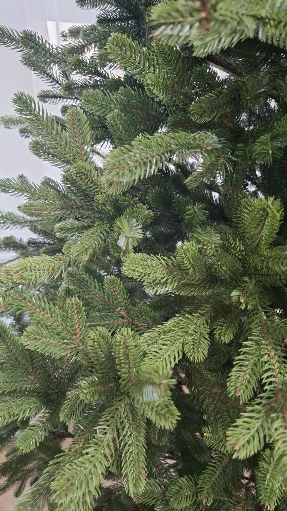 Image #2 from Cristina