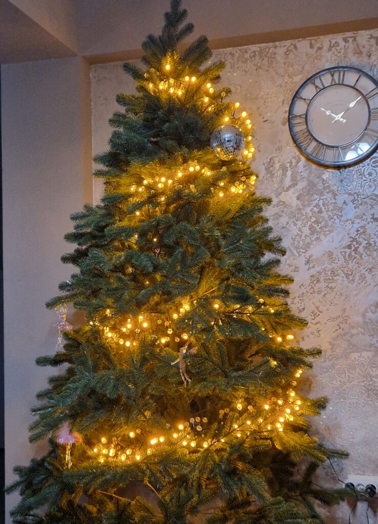 Image #1 from Clementina