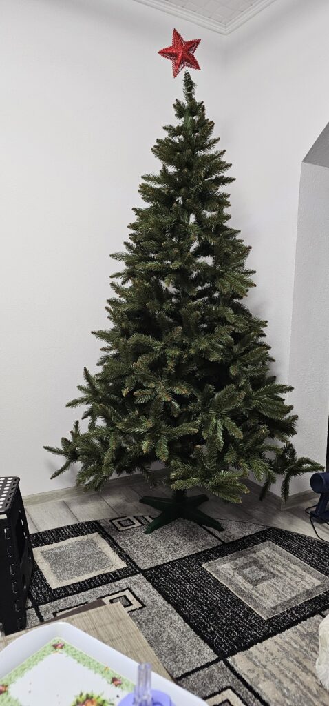 Image #1 from Carmen-Mihaela Toda