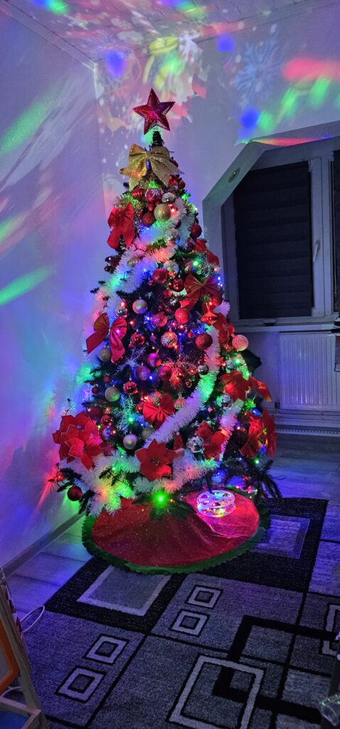 Image #2 from Carmen-Mihaela Toda