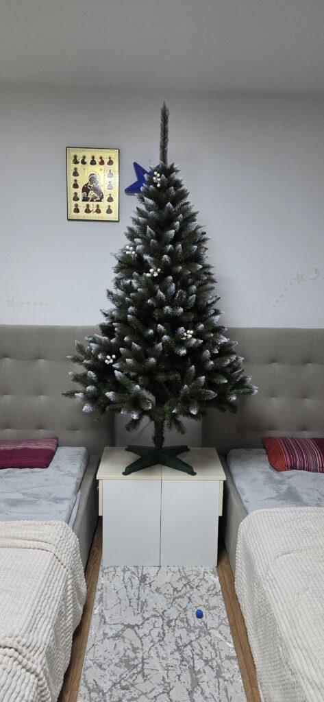 Image #1 from Alexandru Severineanu