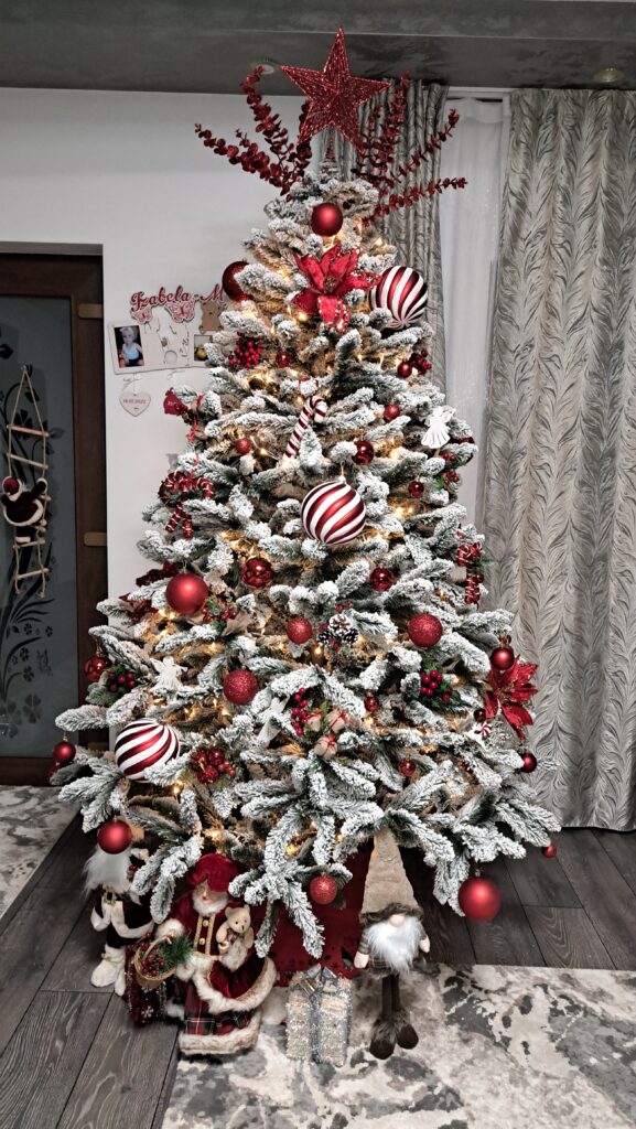 Image #1 from Alexandra R.