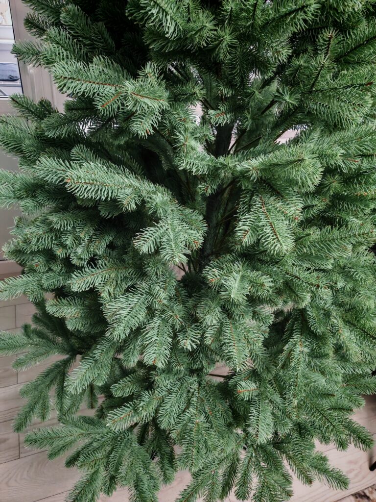 Image #2 from Moldovan Vladut