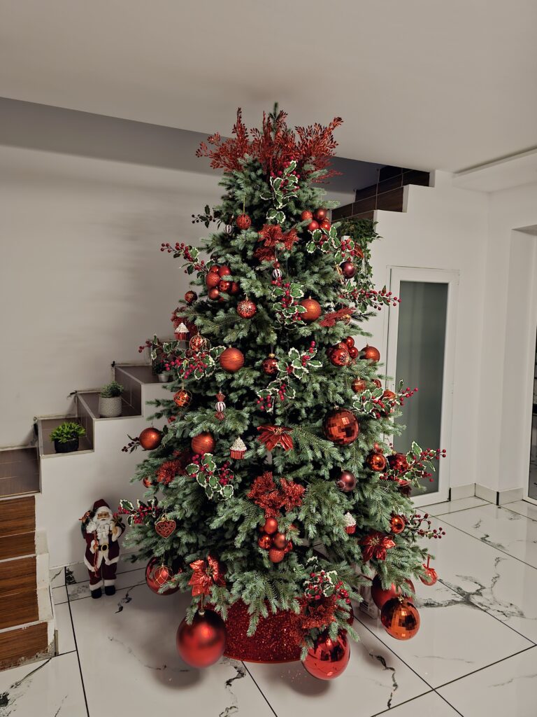 Image #1 from Cristian P.