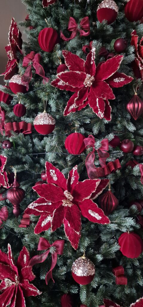 Image #1 from Mariana