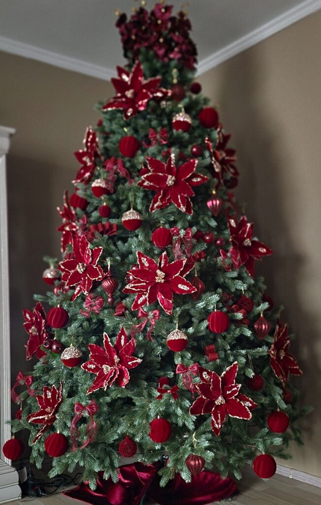 Image #5 from Mariana