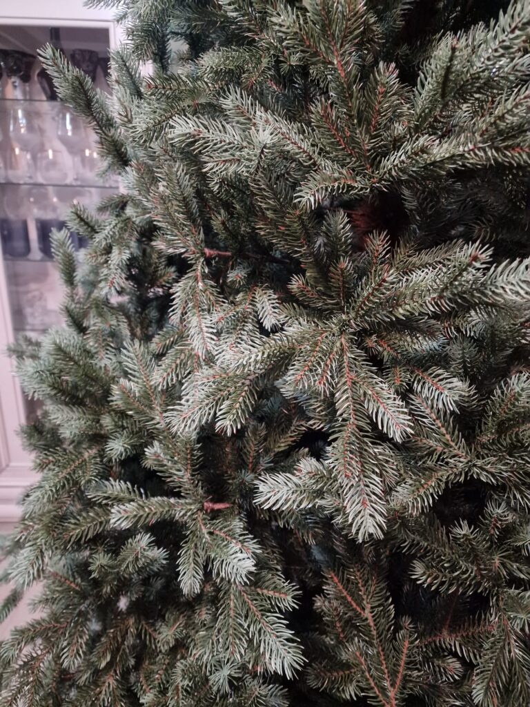 Image #4 from Mariana