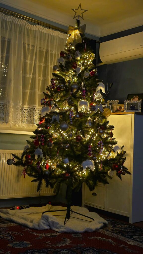 Image #1 from LILIANA T.