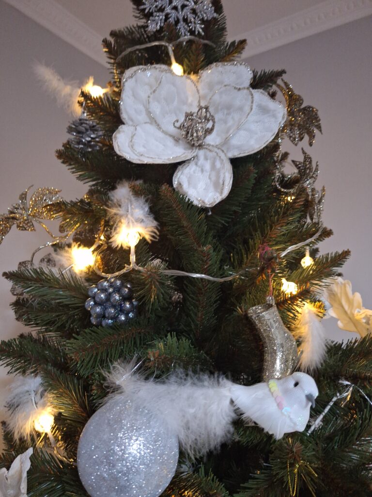 Image #2 from Alina T.