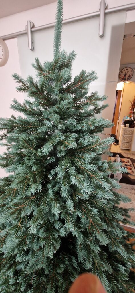 Image #1 from Stefan D.