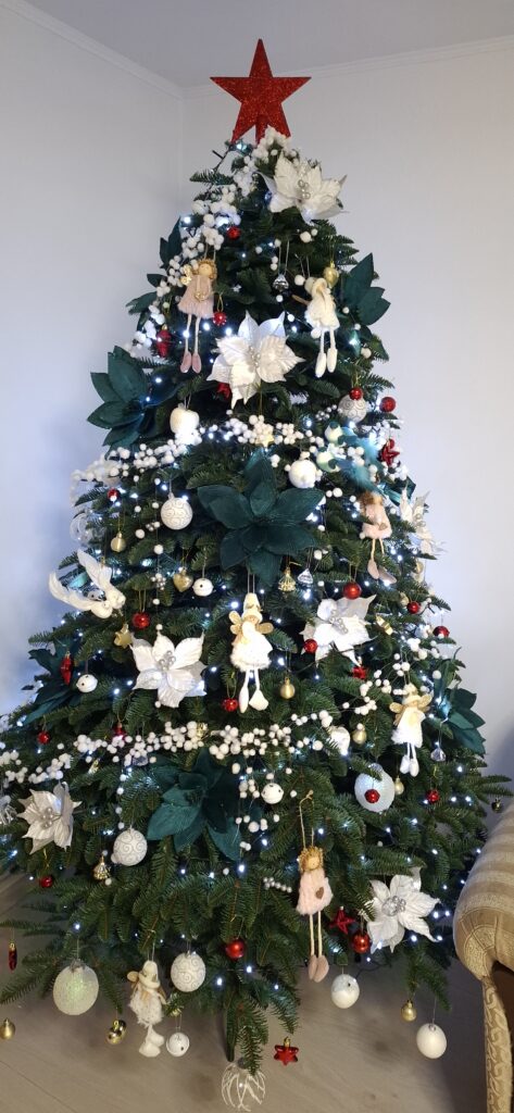 Image #1 from Madalina S.