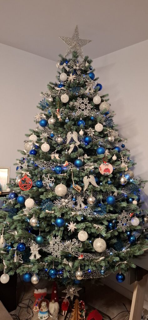 Image #1 from Andreea P.