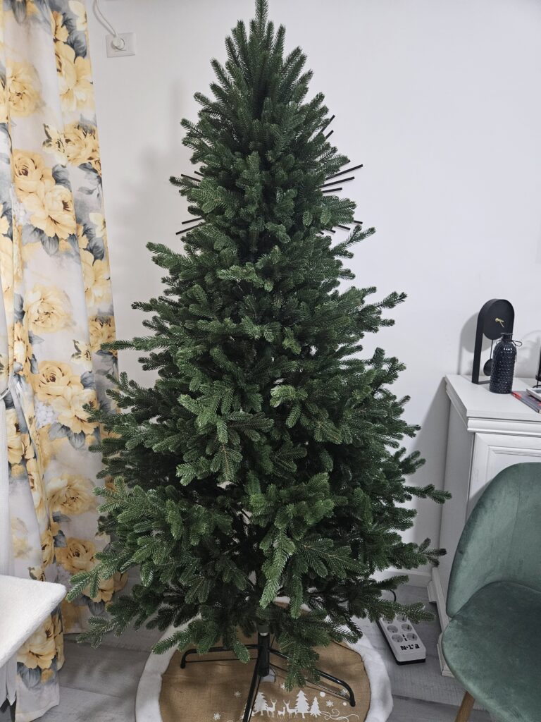 Image #2 from Andreea