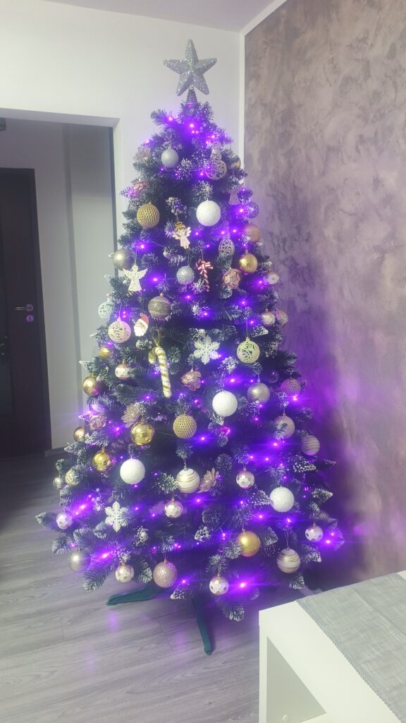 Image #1 from Florina O.