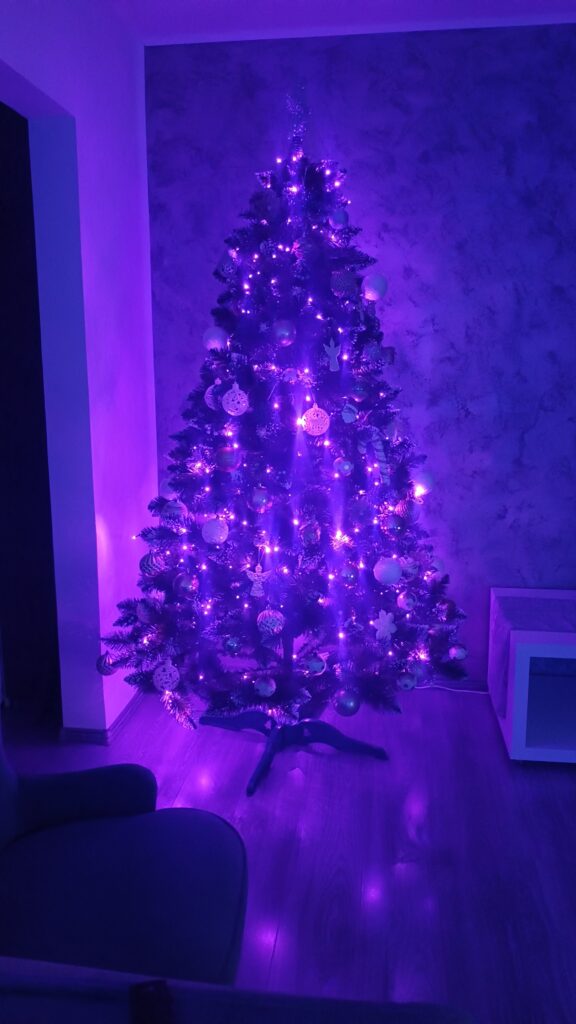 Image #2 from Florina O.