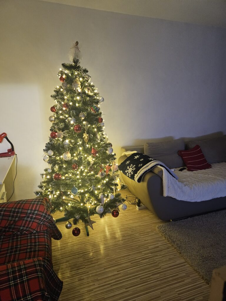 Image #1 from Vera Minca