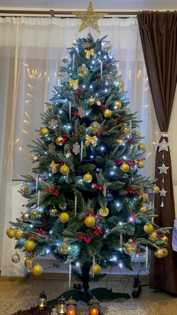 Image #1 from Andreica Amalia MIhaela