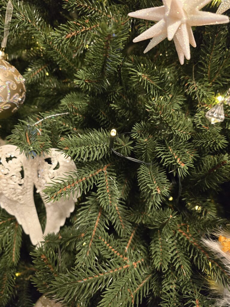 Image #1 from Tudor R.