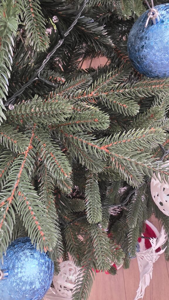 Image #3 from Adriana C.