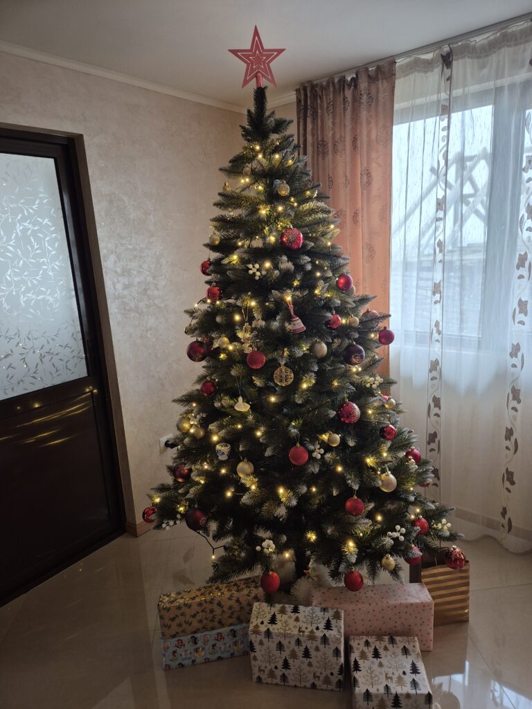 Image #1 from Mocanu Erna