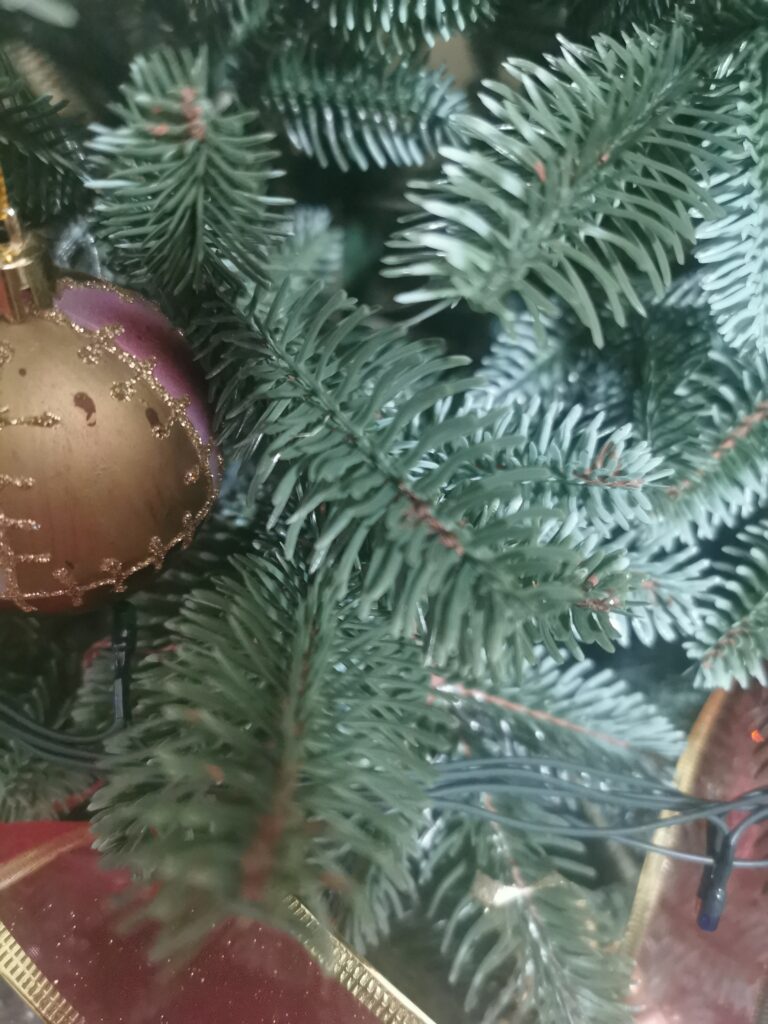 Image #1 from Nicoleta T.