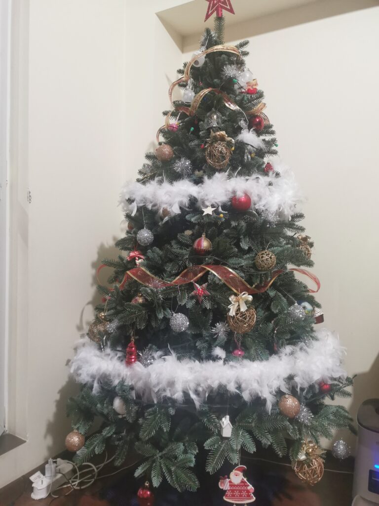 Image #3 from Nicoleta T.