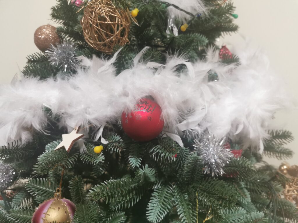 Image #2 from Nicoleta T.