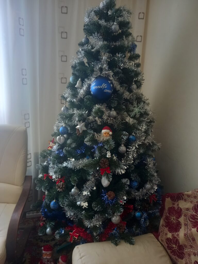 Image #1 from MARCEL NITA