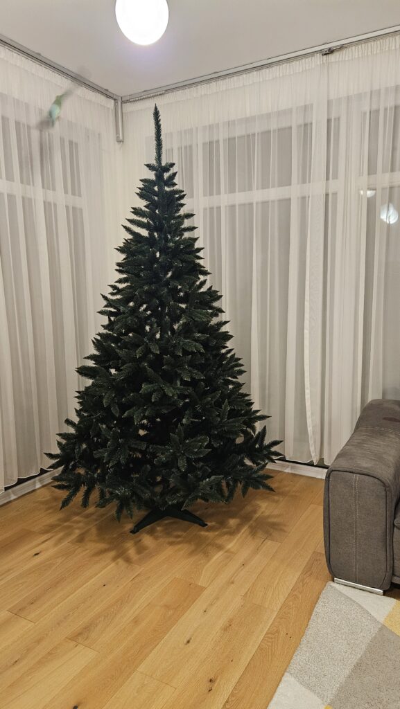 Image #1 from Andreea G.