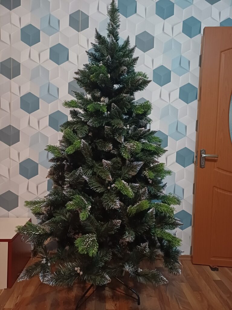 Image #2 from Anca Stal