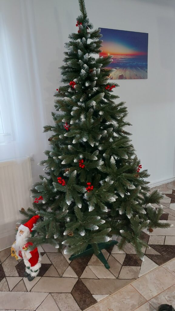 Image #2 from Georgiana Alexandra Lazar