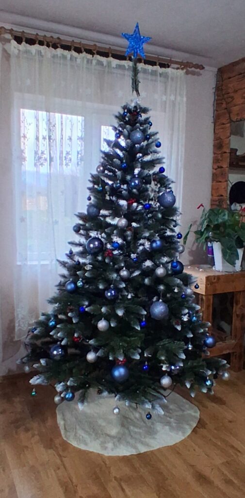 Image #1 from Bacila M.