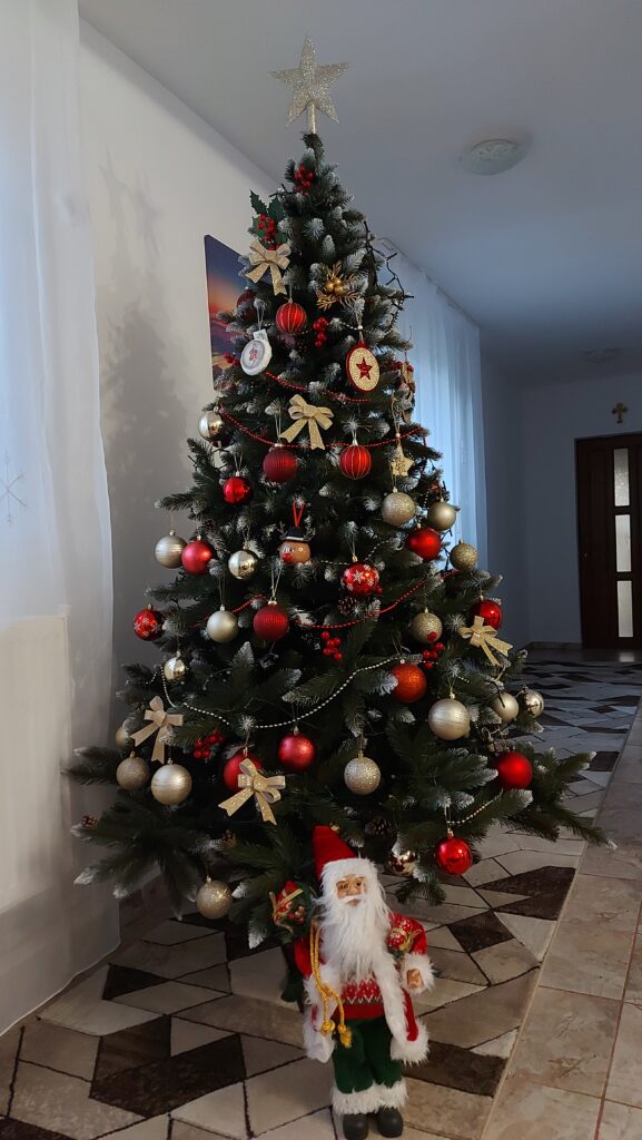 Image #1 from Georgiana Alexandra Lazar