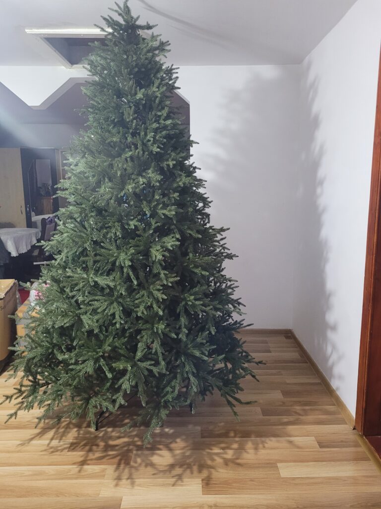 Image #2 from Liliana Plic