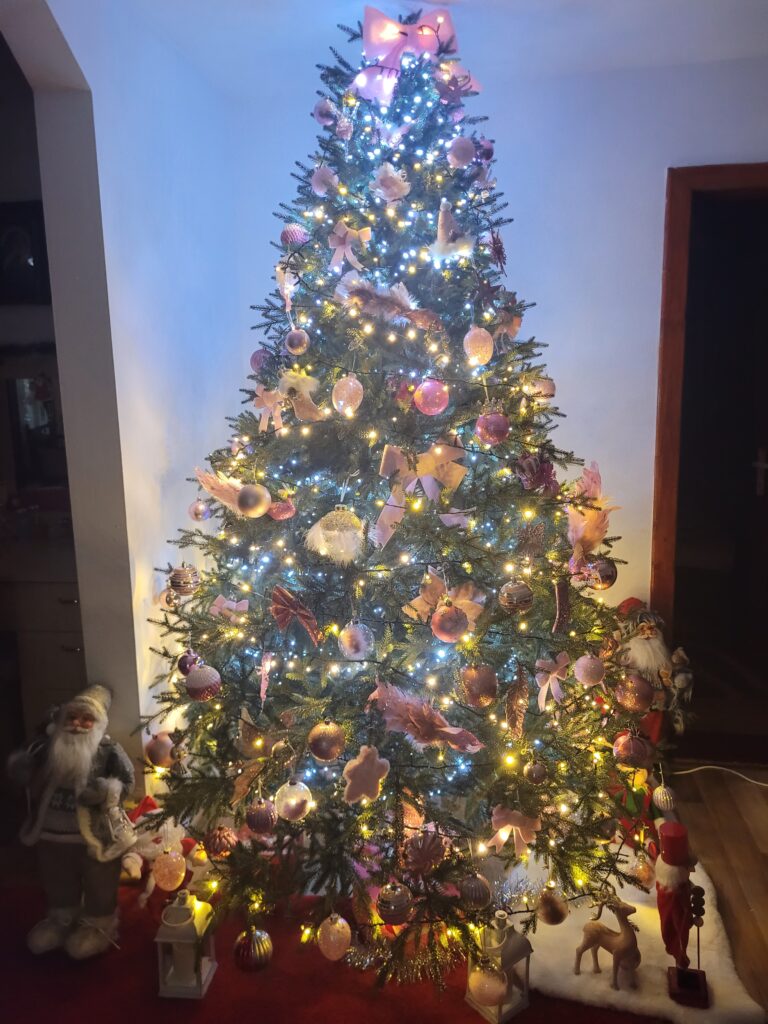 Image #1 from Liliana Plic