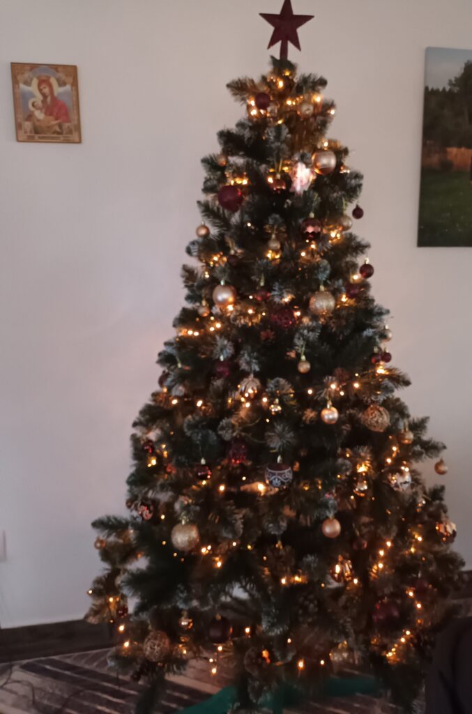 Image #1 from Madalina M.