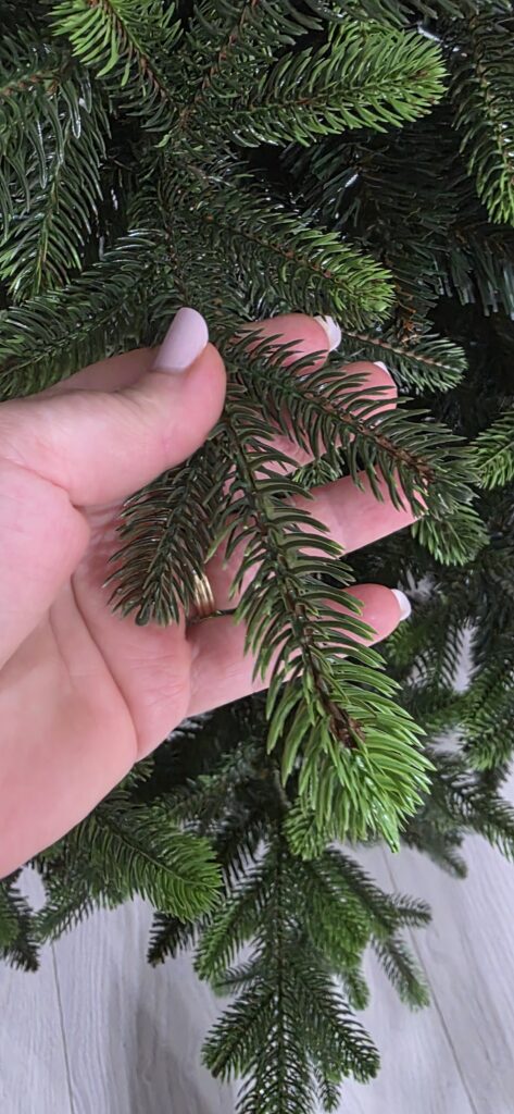 Image #2 from Anonymous