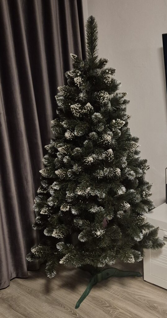 Image #2 from Alexandru P.