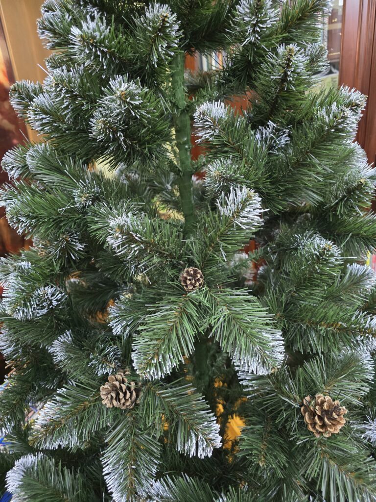 Image #1 from Alexandru