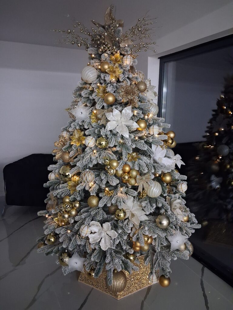 Image #3 from MIHAELA PAPUC