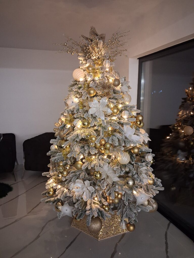 Image #2 from MIHAELA PAPUC