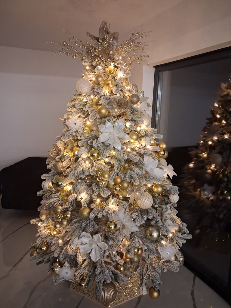 Image #1 from MIHAELA PAPUC