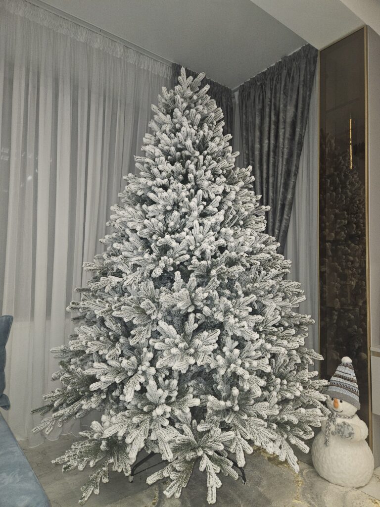 Image #2 from Pasare Andreea