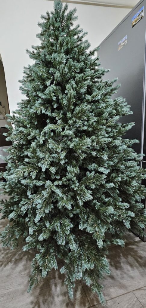 Image #1 from Firuta