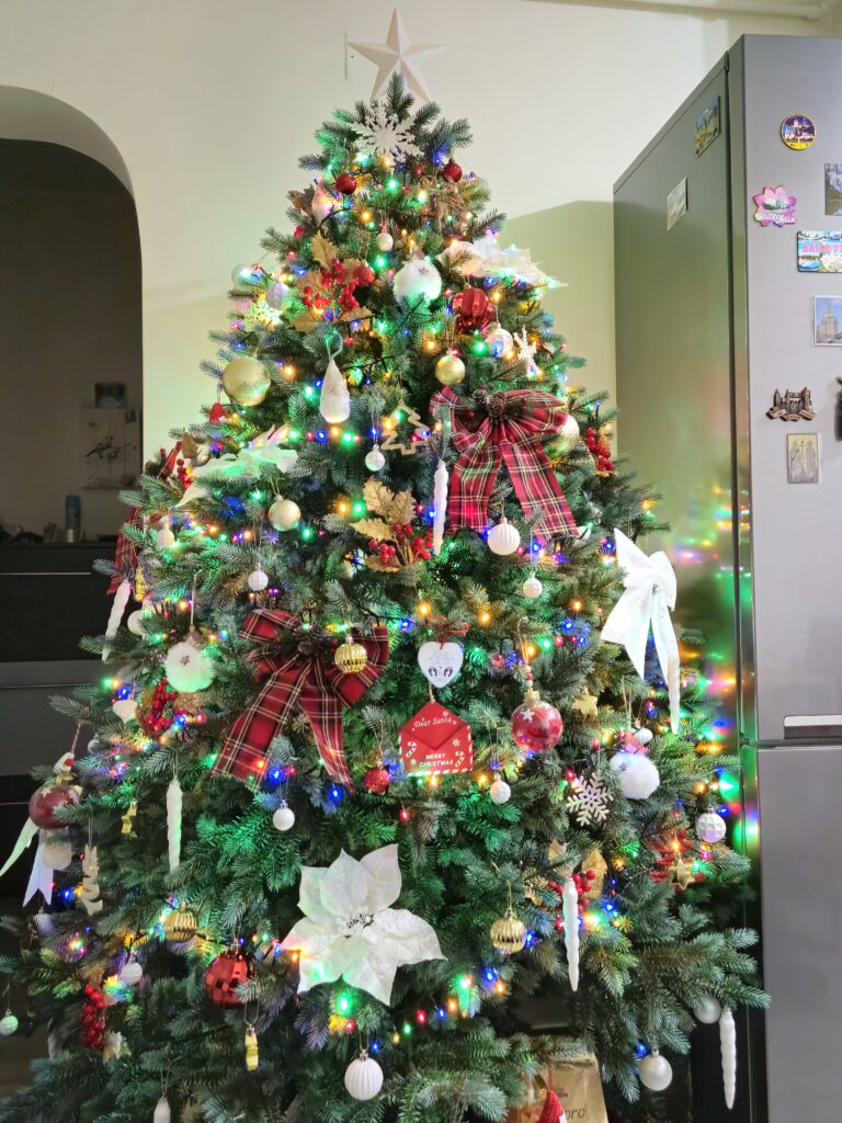 Image #2 from Firuta