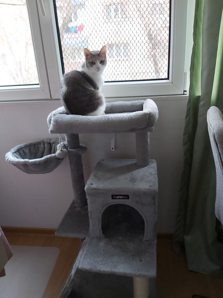 Image #1 from Simona L.